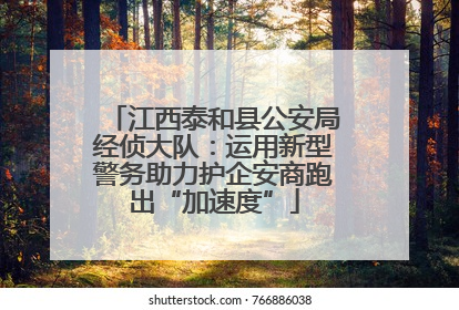 江西泰和县公安局经侦大队：运用新型警务助力护企安商跑出“加速度”