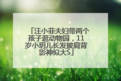 汪小菲夫妇带两个孩子逛动物园，11岁小玥儿长发披肩背影神似大S