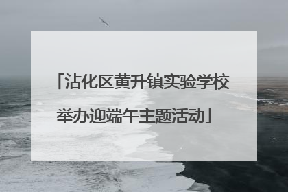 沾化区黄升镇实验学校举办迎端午主题活动