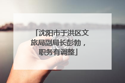 沈阳市于洪区文旅局副局长彭勃，职务有调整
