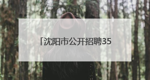 沈阳市公开招聘358名事业编制教师