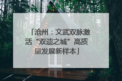 沧州：文武双脉激活“双遗之城”高质量发展新样本