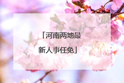河南两地最新人事任免