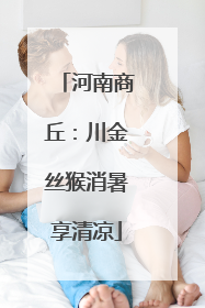 河南商丘：川金丝猴消暑享清凉