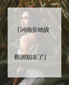 河南多地放假通知来了
