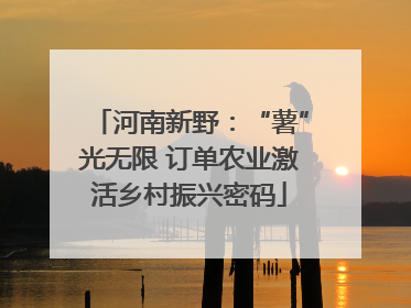河南新野：“薯”光无限 订单农业激活乡村振兴密码