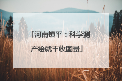 河南镇平：科学测产绘就丰收图景