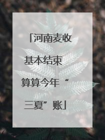 河南麦收基本结束 算算今年“三夏”账