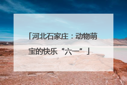 河北石家庄：动物萌宝的快乐“六一”