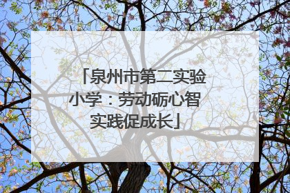 泉州市第二实验小学：劳动砺心智实践促成长