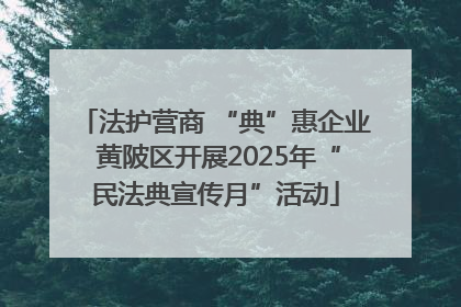 法护营商 “典”惠企业 黄陂区开展2025年“民法典宣传月”活动