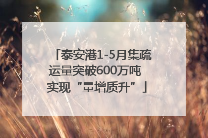 泰安港1-5月集疏运量突破600万吨 实现“量增质升”