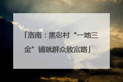 洛南：黑彰村“一地三金”铺就群众致富路