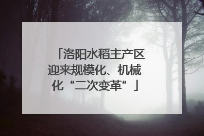 洛阳水稻主产区迎来规模化、机械化“二次变革”