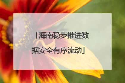 海南稳步推进数据安全有序流动