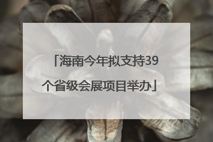 海南今年拟支持39个省级会展项目举办