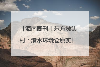 海南周刊丨东方墩头村：港水环墩仓廪实