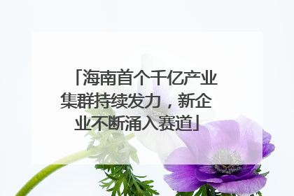 海南首个千亿产业集群持续发力，新企业不断涌入赛道