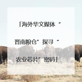 海外华文媒体“晋南粮仓”探寻“农业芯片”密码