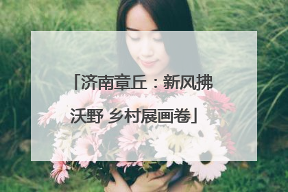 济南章丘：新风拂沃野 乡村展画卷