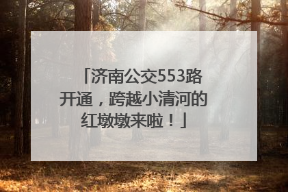 济南公交553路开通，跨越小清河的红墩墩来啦！