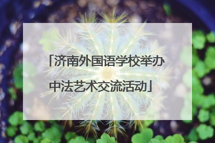 济南外国语学校举办中法艺术交流活动