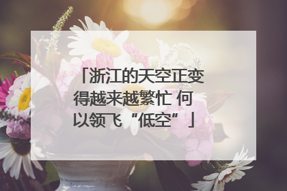 浙江的天空正变得越来越繁忙 何以领飞“低空”