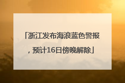 浙江发布海浪蓝色警报，预计16日傍晚解除