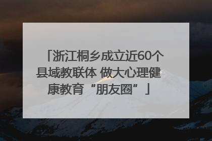 浙江桐乡成立近60个县域教联体 做大心理健康教育“朋友圈”