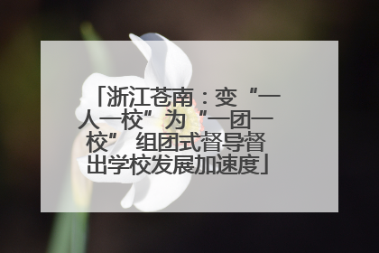 浙江苍南：变“一人一校”为“一团一校” 组团式督导督出学校发展加速度