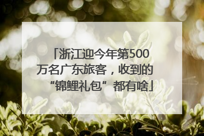 浙江迎今年第500万名广东旅客，收到的“锦鲤礼包”都有啥