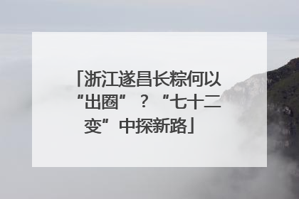 浙江遂昌长粽何以“出圈”？“七十二变”中探新路