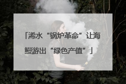 浠水“锅炉革命”让海鳗游出“绿色产值”