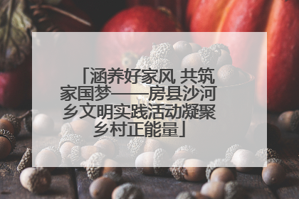 涵养好家风 共筑家国梦——房县沙河乡文明实践活动凝聚乡村正能量