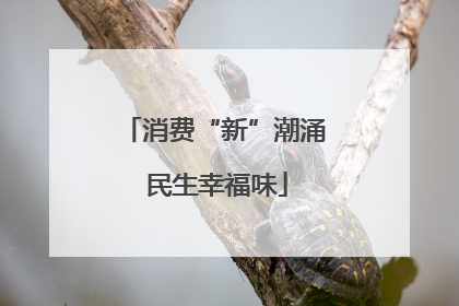 消费“新”潮涌 民生幸福味