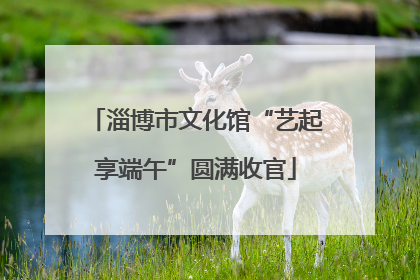 淄博市文化馆“艺起享端午”圆满收官