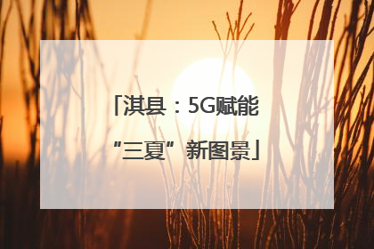 淇县：5G赋能“三夏”新图景