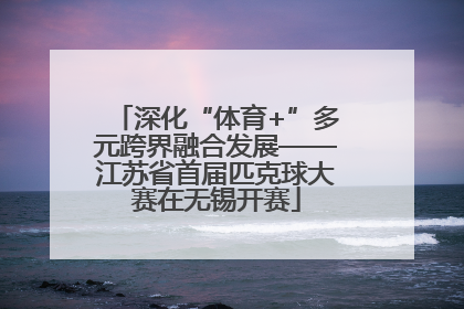 深化“体育+”多元跨界融合发展——江苏省首届匹克球大赛在无锡开赛