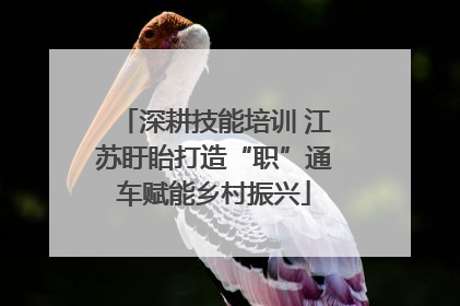深耕技能培训 江苏盱眙打造“职”通车赋能乡村振兴