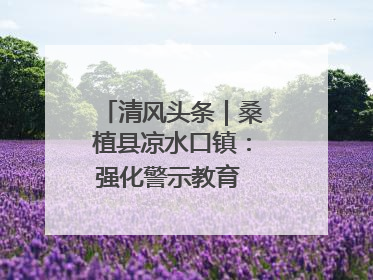 清风头条｜桑植县凉水口镇：强化警示教育 构筑廉洁防线