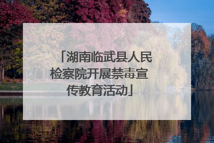 湖南临武县人民检察院开展禁毒宣传教育活动
