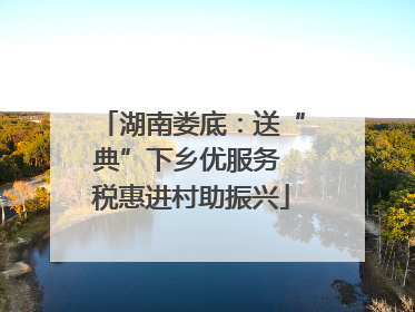 湖南娄底：送“典”下乡优服务 税惠进村助振兴