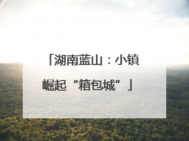 湖南蓝山：小镇崛起“箱包城”