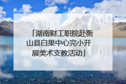 湖南财工职院赴衡山县白果中心完小开展美术支教活动