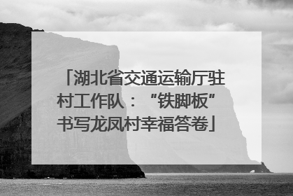 湖北省交通运输厅驻村工作队：“铁脚板”书写龙凤村幸福答卷
