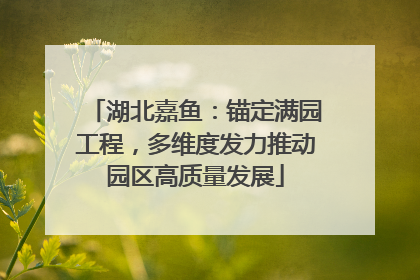 湖北嘉鱼：锚定满园工程，多维度发力推动园区高质量发展