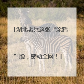 湖北老兵这张“涂鸦”脸，感动全网！