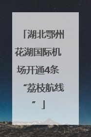 湖北鄂州花湖国际机场开通4条“荔枝航线”