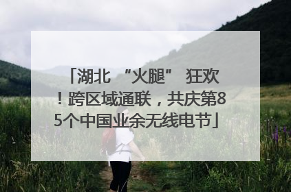湖北 “火腿” 狂欢！跨区域通联，共庆第85个中国业余无线电节