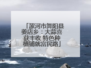 漯河市舞阳县姜店乡：大蒜喜获丰收 特色种植铺就富民路